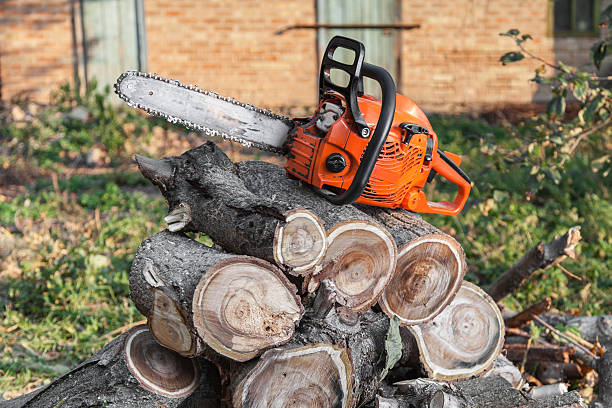 Best Tree Cutting Near Me  in Mount Kisco, NY